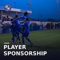 Player Sponsorship